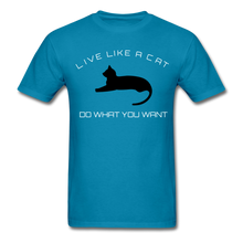 Load image into Gallery viewer, Live like a CAT Tee - turquoise