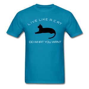 Live like a CAT Tee - turquoise
